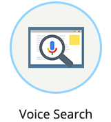 voice search seo