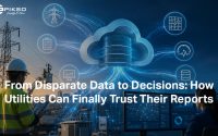 From Disparate Data to Decisions: How Utilities Can Finally Trust Their Reports