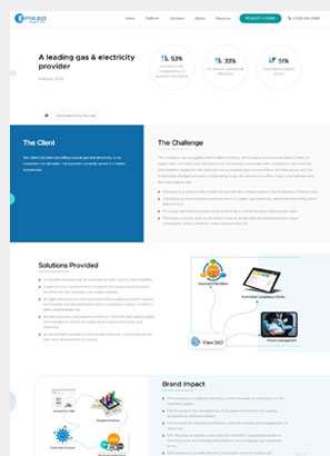 case-study-gas-electricity-provider